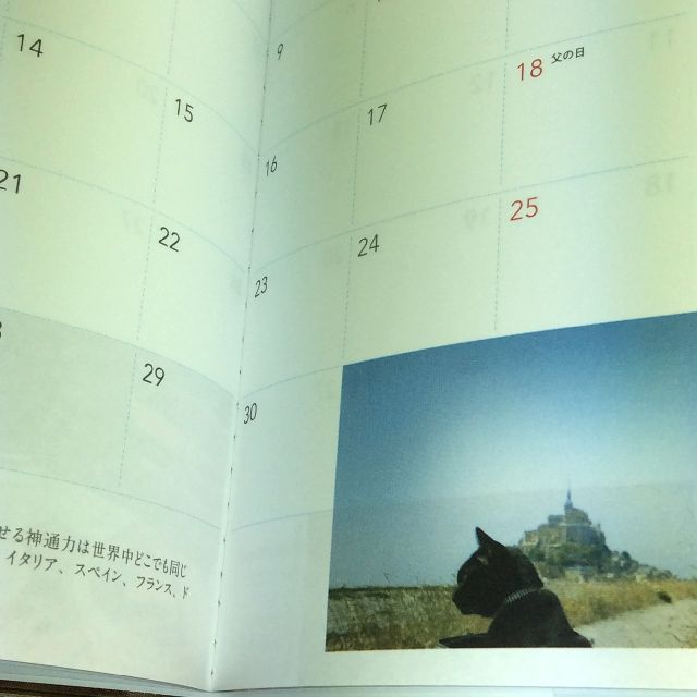 黒猫ノロ2017年スケジュール帳の内側部分のアップ写真
