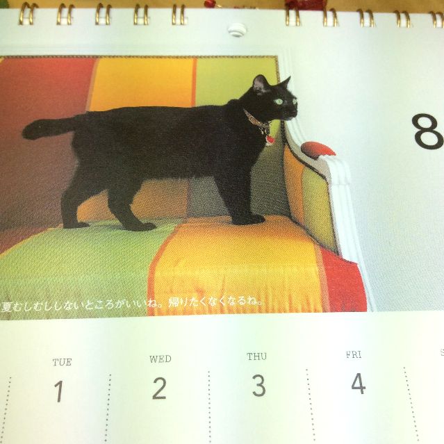 世界を旅する黒猫ノロの2017年壁にも掛けられる卓上カレンダーのソファーにノロちゃんが乗っている写真