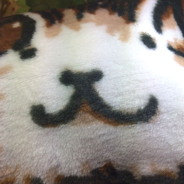 池田あきこ先生のわちふぃーるどダヤンのフリースひざ掛けロンドン柄ダヤンの顔部分アップとフリースの質感写真